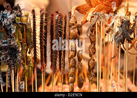 Verschiedene gekochte Insekten Thread am Spieß Stockfoto