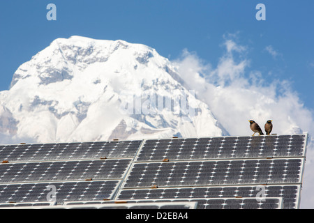 Solar Foto Photovoltaik Paneele bei Ghandruk im Himalaya, Nepal, wird verwendet, um ein Handy-Mast, mit Annapurna South macht Stockfoto