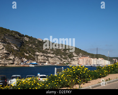 Eine bunte Hafen sartene auf Korsika Stockfoto