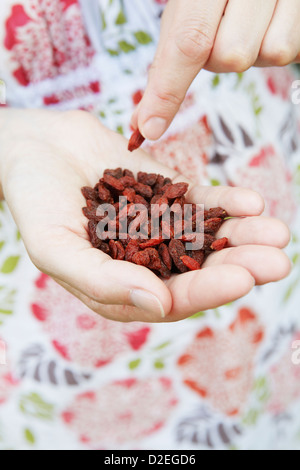 Woman Eating Handvoll Goji Beeren - eine neue Superfood Stockfoto