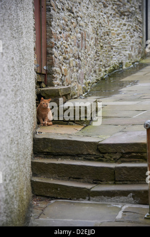 Stromness, Orkney, Norden Schottlands. Eines der vielen Gassen aufsteigen von der alten Hauptstraße. Stockfoto