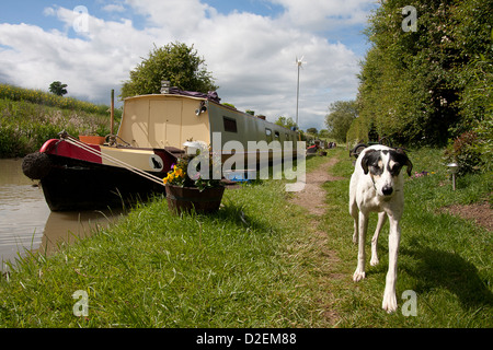 Oxford-Kanal bei Clayden, Oxfordshire Stockfoto