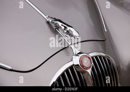 Jaguar Autosemblem auf der Motorhaube eines silberfarbenen Jaguar Oldtimer bei einer Oldtimerausstellung in Yorkshire Stockfoto