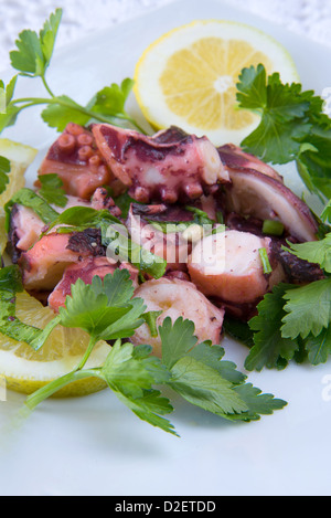 Oktopus-Salat mit Olivenöl, Zitrone und Petersilie Stockfoto