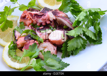 Oktopus-Salat mit Olivenöl, Zitrone und Petersilie Stockfoto