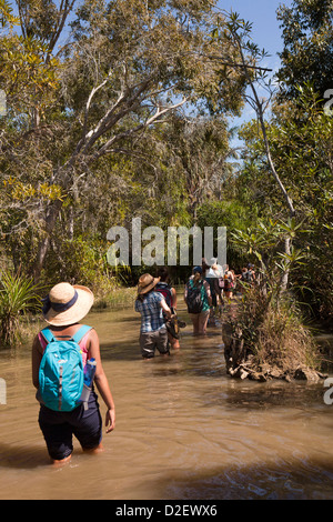 Madagaskar, Betrieb Wallacea, Schüler waten durch Strom zum Matsedroy camp Stockfoto