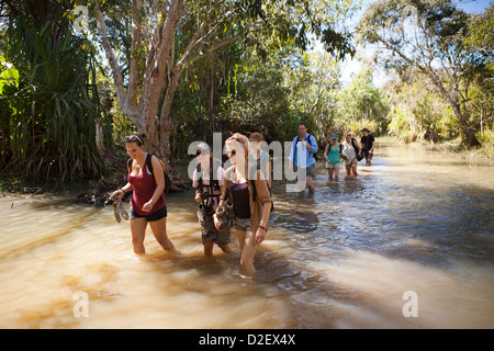 Madagaskar, Betrieb Wallacea, Studenten und Mitarbeiter waten durch Stream auf Matsedroy Stockfoto