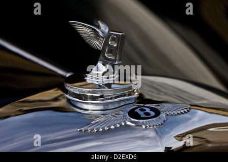 Geflügelte Kühlerfigur auf Bentley R-Type Continental Auto Stockfoto