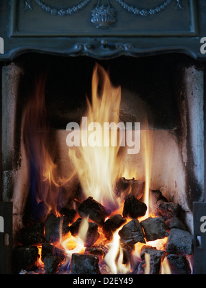 Kohle-Feuer im Kamin Stockfoto