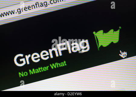 Green Flag Logo und Website hautnah Stockfoto