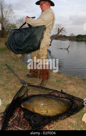 Mann mit einem Gewicht von einem Karpfen (Cyprinus Carpio) bei Lady Bird Lake Austin Texas Stockfoto