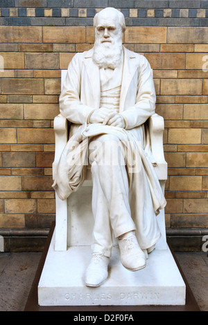 Eine Statue von Charles Darwin von Sir Joseph Boehm im Natural History Museum, London Stockfoto