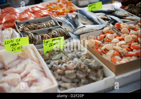 Frische Auswahl an Fisch und Meeresfrüchten an Fischhändler Stand Markt St Georges Belfast Nordirland Stockfoto