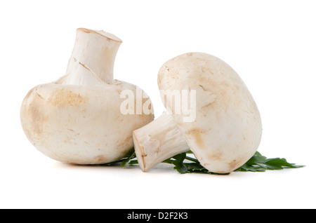 Champignon-Pilze und Petersilie isoliert auf weißem Hintergrund Stockfoto