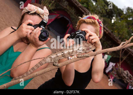 Madagaskar, Betrieb Wallacea, Mariarano, Studenten fotografieren Oustalet Chamäleon Stockfoto