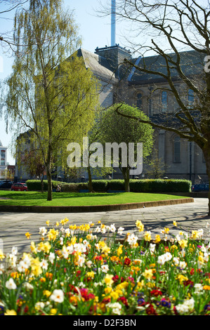 Kathedrale St. Annes, Donegal Street, Belfast Nordirland Stockfoto