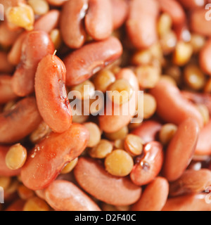 Gekochte rote Bohnen und Linsen-Nahaufnahme Stockfoto