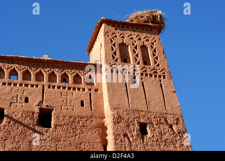 Storchennest auf Dach in der Kasbah in Ait Ben Haddou Weltkulturerbe Stockfoto