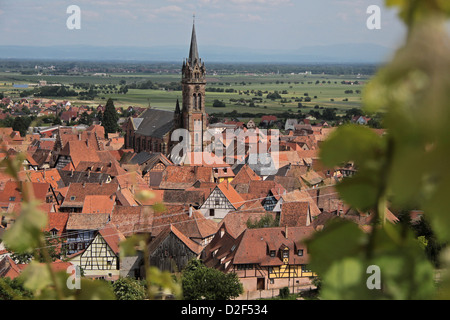 Dorf mit Weinbergen in Dambach-la-Ville, Elsass, Frankreich Stockfoto