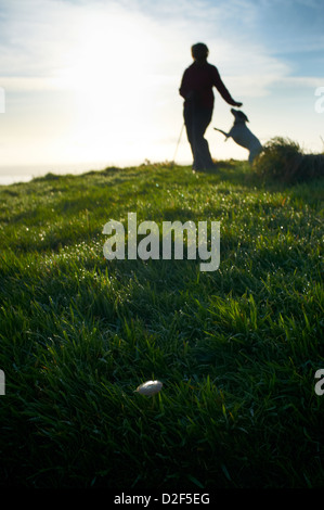 Einzelne wilde Pilzzucht im Tau bedeckt Grass mit Hügel Walker und Hund im Hintergrund, Cave Hill-Nordirland Stockfoto