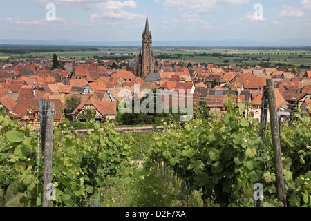 Dorf mit Weinbergen in Dambach-la-Ville, Elsass, Frankreich Stockfoto