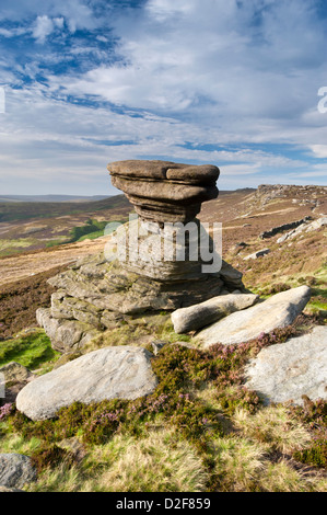 Salzstreuer, Rock, Bildung am Derwent Rand, Peak District National Park, Derbyshire, England, Vereinigtes Königreich Stockfoto