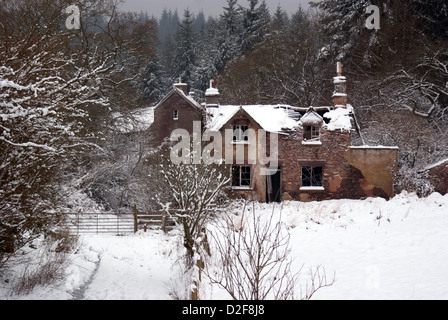 Verfallenen Hütte im Wald des Dekans, Gloucestershire, UK Stockfoto