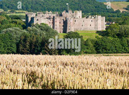 Raglan Castle im Sommer, Raglan, Monmouthshire, Süd-Wales, UK Stockfoto