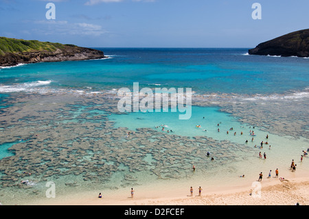 HONOLULU - 25 März: Hanauma Bay Nature Preserve am 25. März 2011 in Honolulu. MAX HERMANN/ALAMY Stockfoto