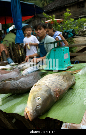 Verkäufer von Fischen in einem Morgenmarkt in Luang Prabang, Laos Stockfoto