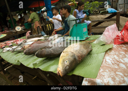 Verkäufer von Fischen in einem Morgenmarkt in Luang Prabang, Laos Stockfoto