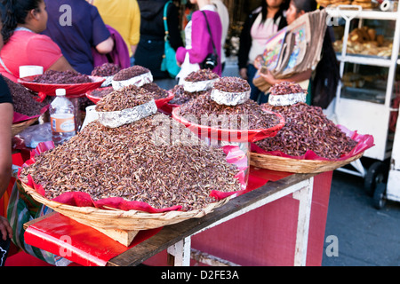 Strohkörbe gehäuft mit verschiedenen Größen der gekochte gebratene Heuschrecken für den Verkauf auf Bürgersteig vor Benito Juarez Markt Oaxaca Stockfoto