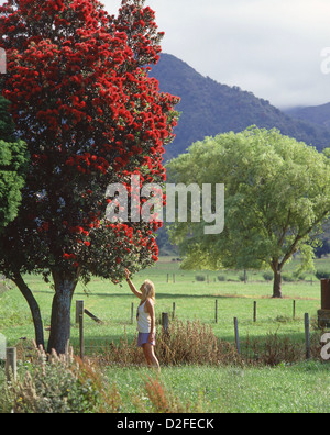 Junge Frau, die neben großen Pohutukawa Baum, Taube Bucht, Banks Peninsula, Canterbury, Neuseeland Stockfoto