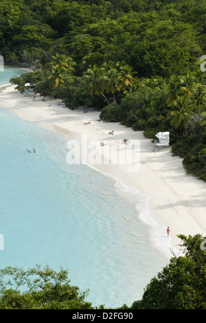 Trunk Bay, St. John, US Virgin Islands, Caribbean Stockfoto