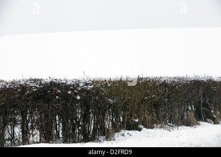 Absicherung im Schnee Stockfoto