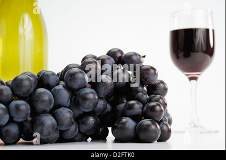 Schwarzen Trauben und Rotweinglas und Flasche, Studio gedreht Stockfoto