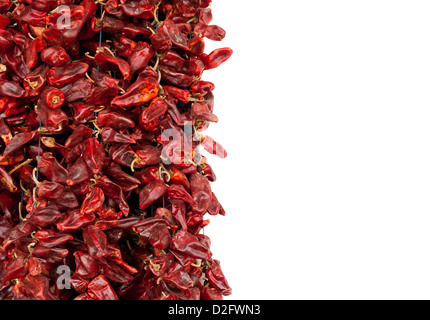 Rote Peperoni in Tunesien dienen zum beliebten harissa Stockfoto