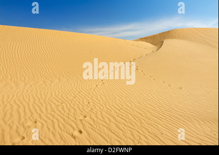 Schönen Sanddünen in der Wüste Sahara Tunesien Stockfoto