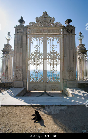 Dolmabahce Palast wurde im Jahre 1855 für Sultan Abdul Mecit beendet. Es hat einen fantastischen Garten und auch Teegärten um ihn herum. Stockfoto