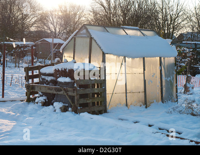 schneebedeckte Kleingärten im Winter, Norfolk, england Stockfoto