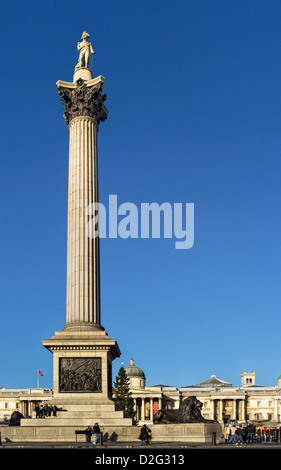 Nelson Säule am Trafalgar Square in London, UK Stockfoto