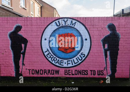 Wandbild in Belfast zum Gedenken an die Ulster junge Kämpfer (UYM), der Jugendorganisation der Ulster Defence Association (UDA) Stockfoto