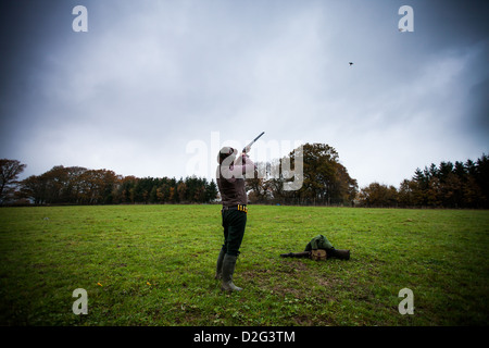 Foto von einem männlichen Gewehr schießen auf fliegende Fasane auf einem Spiel schießen im Vereinigten Königreich Stockfoto