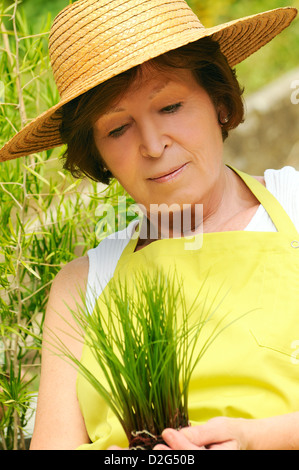 Ältere Frau im Garten sich Start-ups in den Händen hält Stockfoto