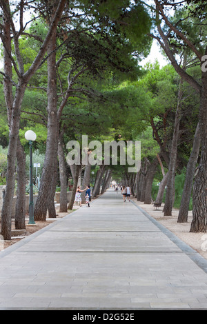 Eine Promenade gesäumt von Pinien entlang der berühmten "V-förmige" Strand Zlatni Rat Bol Stadt auf der Insel Brac in Kroatien Stockfoto