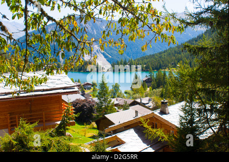 Jardin Alpin, Champex, Wallis, Schweiz Stockfoto