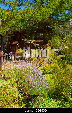 Jardin Alpin, Champex, Wallis, Schweiz Stockfoto