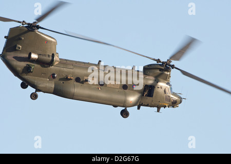 Eine militärische Chinook-Hubschrauber im Flug Stockfoto
