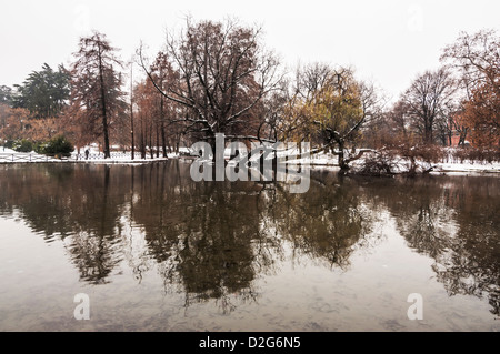 Natur und Bäume im Sempione Park in Mailand, Italien Stockfoto
