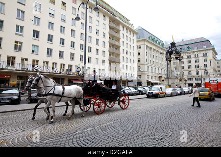 Pferdekutsche Kutsche auf den Straßen von Wien, Österreich Stockfoto